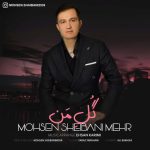 دانلود آهنگ جدید علی مهدی نژاد به نام محاله برگردی